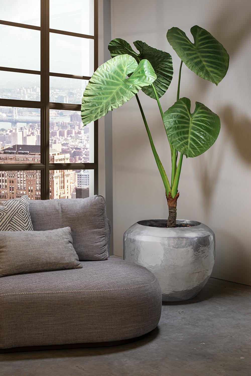 NY LOFT 50/40