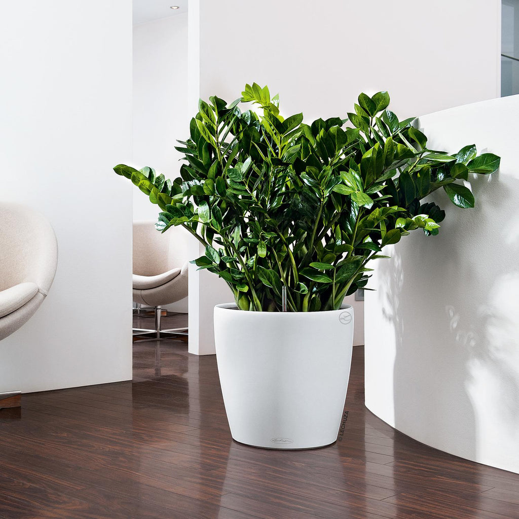 CLASSICO planter, 28/26 cm, white
